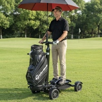 Scooter Eléctrico Plegable de 4 Ruedas para Golf, 2000W, Motor Dual, Batería de Litio de 48V 20Ah para Campo de Golf