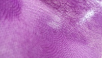 Entoilage thermocollant non tissé en fibres recyclées écologiques 35GSM, 100% polyester, tissu coloré PES à double point, thermocollant pour vêtements