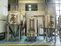 Équipement commercial de brassage de cidre à vendre Cidre faisant la machine