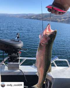 Leurre de pêche à la traîne personnalisé pour saumon et <span class=keywords><strong>truite</strong></span> en haute mer - Product Image 5