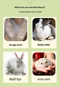 Champú para Mascotas Pequeñas de 100 ml para Cobayas, Conejos, Hámsters y Ratas, Desodorante con Esencia de Plantas, Líquido de Baño Suave para el Cuidado de Mascotas - Product Image 2