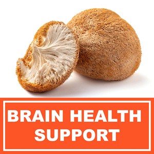 Gomitas de Melena de León de Alta Calidad con Ácido Cítrico para Mejorar la Función Cognitiva y Apoyar la Salud Cerebral - Product Image 4