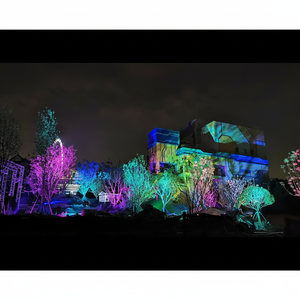 Lampe de teinture couleur IP65 pour les rues et les installations de parcs de Noël - Product Image 1