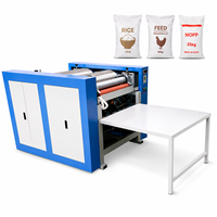 Machine d'impression flexographique semi-automatique 1-6 couleurs pour sacs non tissés, sacs en plastique et sacs de courses en papier, avec logo, à prix abordable