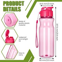 Bouteille d'eau sport réutilisable en PET de 550 ml, grande capacité, transparente, portable, pour le camping en plein air, design classique, cadeau