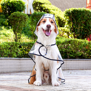 Impermeable Transparente para Perros Grandes, Protección Solar y Contra el Polvo, para Todas las Estaciones, Ideal para Border <span class=keywords><strong>Collie</strong></span> - Product Image 4