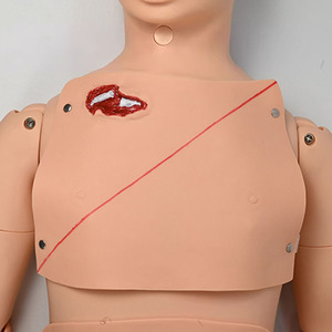 Modelo humano avanzado de enfermería, modelo Bisexual básico combinado - Product Image 4