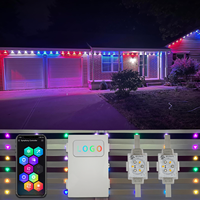 Twinklight Pixel LED Point Lights 48V Design pour l'extérieur Noël Étanche IP68 PVC Corps RGBW Émission pour parc à thème