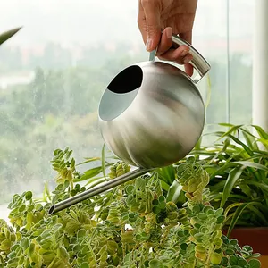 Arrosoir en acier inoxydable de 1L, petit arrosoir de jardinage avec poignée pour arroser les plantes, outil de jardinage pour fleurs - Product Image 2