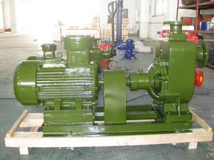 CYZ-A Explosion Proof Self-priming Centrifugal Oil Pump With Impeller for Diesel, Kerosene, Etc. CYZ-A Series Fuel Pump 4500270 - Product Image 5