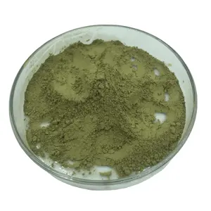 Poudre de matcha biologique de haute qualité, extrait de plantes emballé dans du tambour pour les aliments santé