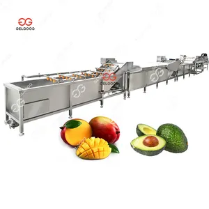Elma yıkama ekipmanları ticari elma avokado temizleme ve derecelendirme makinesi armut elma yıkama derecelendirme makinesi