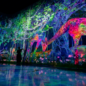 Projection holographique 3D pour les façades de bâtiments, les musées, les hôtels, les zones scéniques et les expériences de tourisme nocturne urbain - Product Image 1