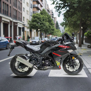 รถมอเตอร์ไซค์โรดสเตอร์มือสอง R3 250 ซีซี เครื่องยนต์เบนซิน  ตกแต่งเดิม รับประกันคุณภาพ - Product Image 2