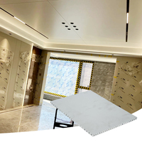 Panneaux en aluminium légers, plats, alvéolés et thermolaqués pour plafonds sans cadre avec spots encastrés surdimensionnés pour salons