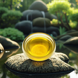 סופר triterpene ganoderma Lucidum ליבול אבקת ויטמין-פטריות פעיל לחלץ אורגני מוסמך תוף אריזה - Product Image 4