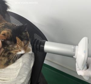 Caméra professionnelle Fundus pour animaux de compagnie Caméra rétinienne <span class=keywords><strong>portable</strong></span> non mydriatique pour vétérinaire - Product Image 6