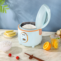 Autocuiseur Électrique Intelligent Multifonctionnel en Plastique à Faible Teneur en Sucre avec Tasse Mesureuse et Cuve Intérieure Antiadhésive – Vente en Gros