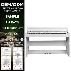 <span class=keywords><strong>Piano</strong></span> Digital Profesional Eléctrico de Alta Calidad Personalizado de Fábrica, 88 Teclas, <span class=keywords><strong>Piano</strong></span> Eléctrico Profesional - Product Image 1