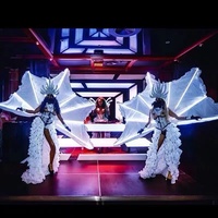 Ensemble de défilé de mode pour femmes, ailes d'ange papillon en miroir de haute qualité, modèle adulte, argenté, pour performance sur podium et cosplay