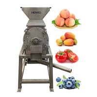 Roestvrijstalen Fruitpulpmachine Pulpmachine/Fruitpulper/Mangopulpmachine