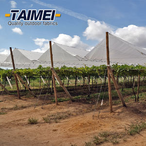 खेत के बगीचे में प्लास्टिक वर्षा संरक्षण कवर, अंगूर और चेरी के बगीचे के लिए प्लास्टिक की छत बारिश कवर कवर - Product Image 2