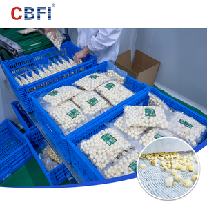 ราคาเครื่องแช่แข็งแบบเกลียว IQF อัตโนมัติ 1000 กก./ชม. สำหรับอาหาร - Product Image 6