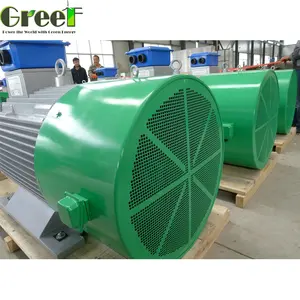 100kw 1000kw Lage Rpm Permanente Magneet Generator, Magnetische Power Generator Project