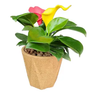 Vaso de flores em vários formatos, vaso de plantas de cortiça