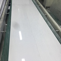 Panneau mural en PVC frêne blanc de Offre Spéciale britannique pour panneau de revêtement de salle de bain douche murale humide
