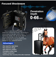 Appareil de thérapie par ondes de choc pour chevaux, machine à ondes de choc ciblées pour chevaux, pour soulager la douleur et favoriser la récupération musculaire, ondes de choc focalisées, OEM ODM personnalisé