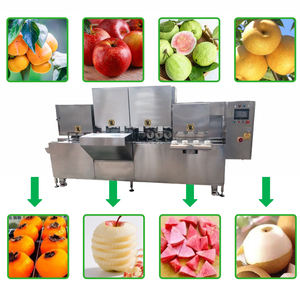 Éplucheuse électrique 3000 prix/h pour fruits (orange, kaki, pomme) – Machine à éplucher, dénoyaouter et trancher les pommes - Product Image 4