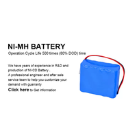 Batterie puissante NI-MH 12V 3800mAh | Idéal pour les onduleurs solaires, les systèmes UPS et les applications d'alimentation CC