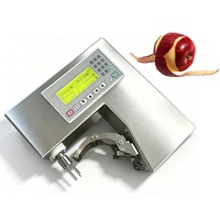 300-350 Stuks/uur Groente- en Fruit Schilmesjes Ronde Fruit Schilmesjes Ovale Fruit Schilmachine voor Straatverkopers Fruitwinkels