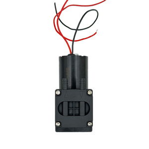 BOTEICH Vacuum <b>Pump</b> 100kPa 13L DC 12-24V Medical Diaphragm Micro <b>Pump</b> Low Power Long Life - Product Image 1