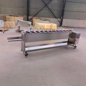 Machine à éplucher les asperges à haute efficacité / Machine à éplucher les radis / Éplucheur de radis blanc - Product Image 2