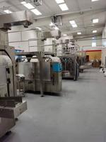 Machine d'emballage automatique de remplissage et de scellage de sachets pré-fabriqués pour les produits sucrés