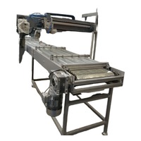 Unité de motorisation OEM, Pièce de point de transfert, Ensemble de vanne de distribution linéaire pour convoyeurs, Convoyeurs à chaîne pour palettes et outillage de gros