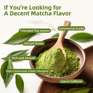 Polvo de Matcha Latte Instantáneo al por Mayor <span class=keywords><strong>con</strong></span> Servicio de Etiqueta Privada, Sabor Cremoso y Rico para Cafeterías, Tiendas y Marcas en Línea - Product Image 2