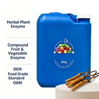Extrait de Cordyceps de qualité alimentaire premium, liquide enzymatique vitaminé pour la santé intestinale, suppléments apaisants en gros