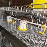 Cage de couvaison de type H neuve, directement de l'usine, en acier galvanisé, facile à installer, gain de place, pour poussins, 1 ensemble, prix bas