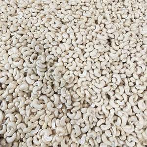 เม็ดมะม่วงหิมพานต์แบบออร์แกนิก240 W210คุณภาพระดับพรีเมียมส่งออกไปยังสหภาพยุโรปตะวันออกกลาง - Product Image 1