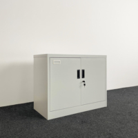 Armoire de classement en acier de bureau moderne bas d'usine avec stockage verrouillable pour l'école à la maison et le bureau