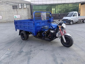 Nuevo Estilo, Motocicleta Triciclo <span class=keywords><strong>de</strong></span> Carga <span class=keywords><strong>de</strong></span> 250cc 350cc, 3/5/9 <span class=keywords><strong>Ruedas</strong></span>, <span class=keywords><strong>de</strong></span> Gasolina, <span class=keywords><strong>en</strong></span> <span class=keywords><strong>Venta</strong></span> - Product Image 6