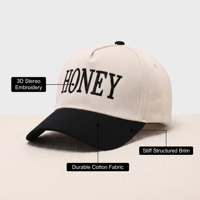 Gorras de Béisbol de 5 Paneles con Logotipo Personalizado, Gorra de Béisbol Clásica de Dos Tonos, Gorras de Béisbol de Algodón Bordadas para Deportes