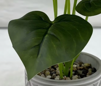 Plantes artificielles en pot pour décoration intérieure, en PE, style moderne, haute simulation, fleurs artificielles de Noël, ornement d'intérieur de qualité, fourni directement par l'usine