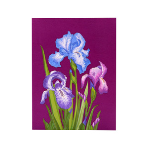 Cartes de vœux 3D pop-up personnalisées en papier découpé au laser, motif jardin d'iris coloré, fabrication artisanale – Marque Viet-craft pour la promotion - Product Image 2
