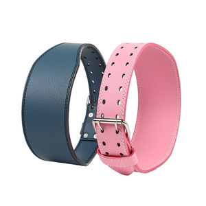Cinturones de Levantamiento de Pesas, Accesorios de Gimnasio, Cinturón de Soporte Lumbar para Levantamiento de Pesas para Mujeres - Product Image 2