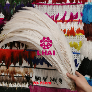 Bán Buôn 60-75Cm Dài Màu Trắng Tự Nhiên Bạc Gà lôi Đuôi Lông Cho Lễ Hội Lễ Hội Samba Trang Phục Trang Trí - Product Image 5