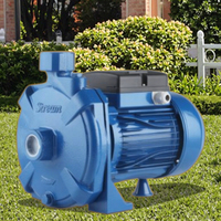 TECHNIC POWER Pompe à eau électrique pour irrigation de surface 1HP SCM100 0.75KW auto-amorçante